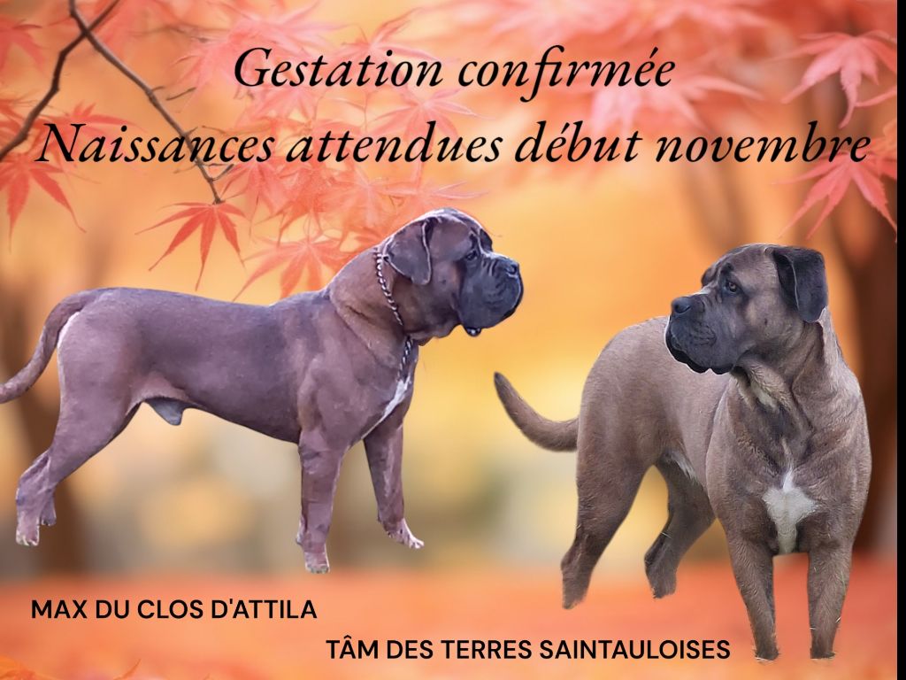 Prochaines naissances attendues début Novembre 